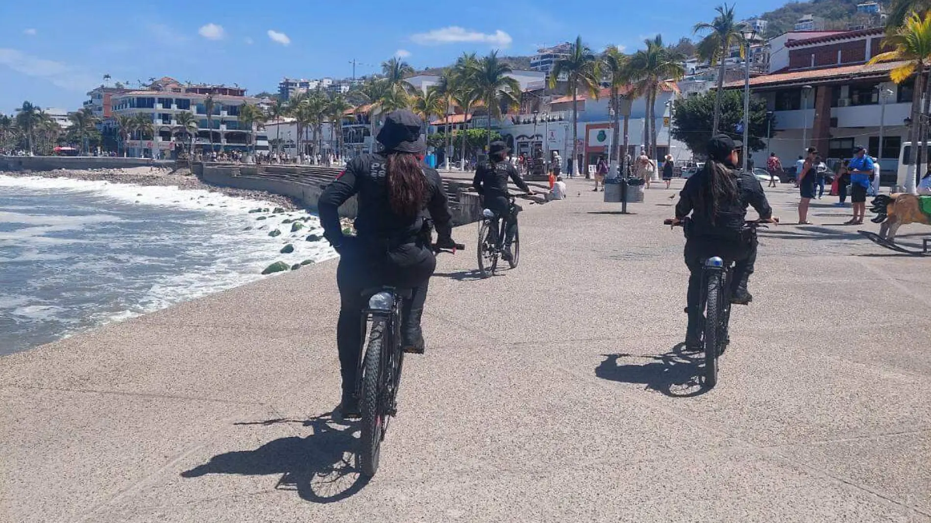 POLICÍA VALLARTA